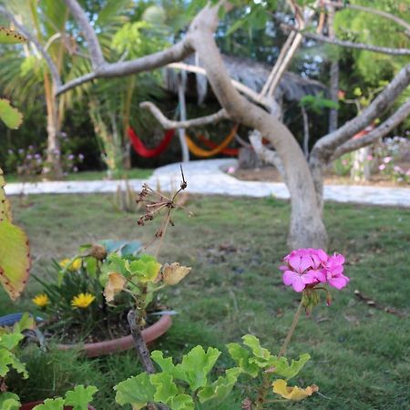 Villa Cartago Bay à Puerto Villamil Extérieur photo